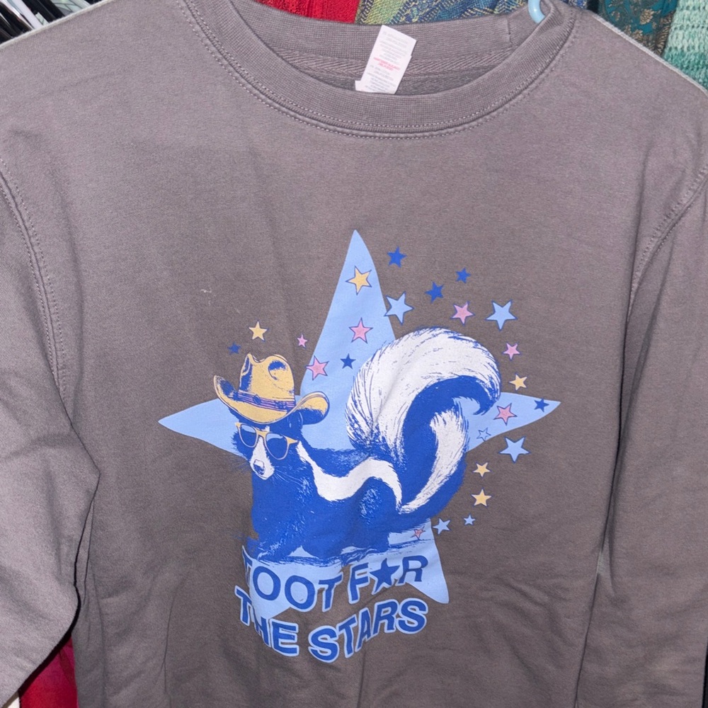 Kids Graphic Skunk Sweatshirt - Gray with Blue & Yellow Star Print